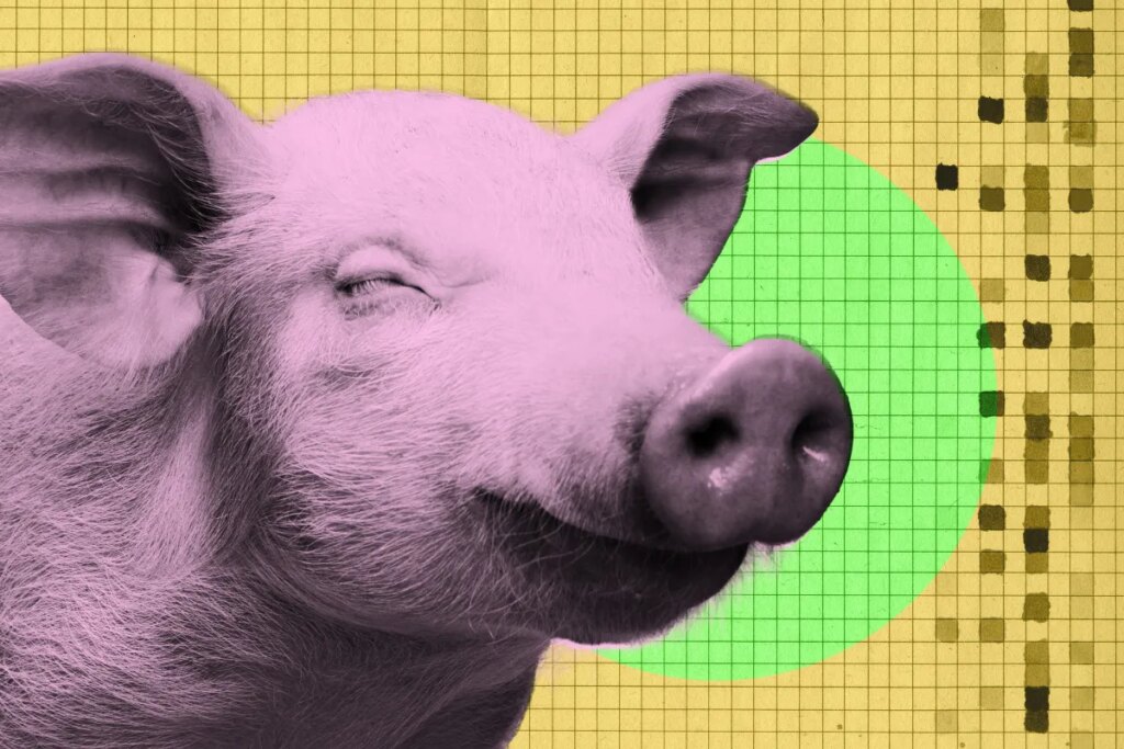New Startup Harvests Bacon Without Killing Pig
