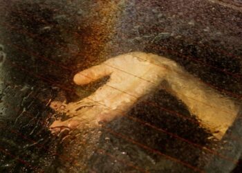 This Beautiful Confusion