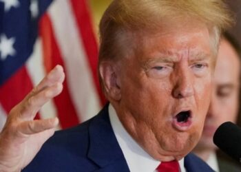 ‘Arson and chaos’: Trump has ‘no motivation’ other than being ‘centre of it all’: expert