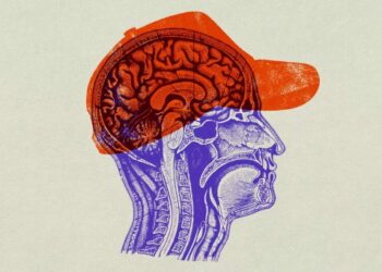 The Rise and Rot of the MAGA Right