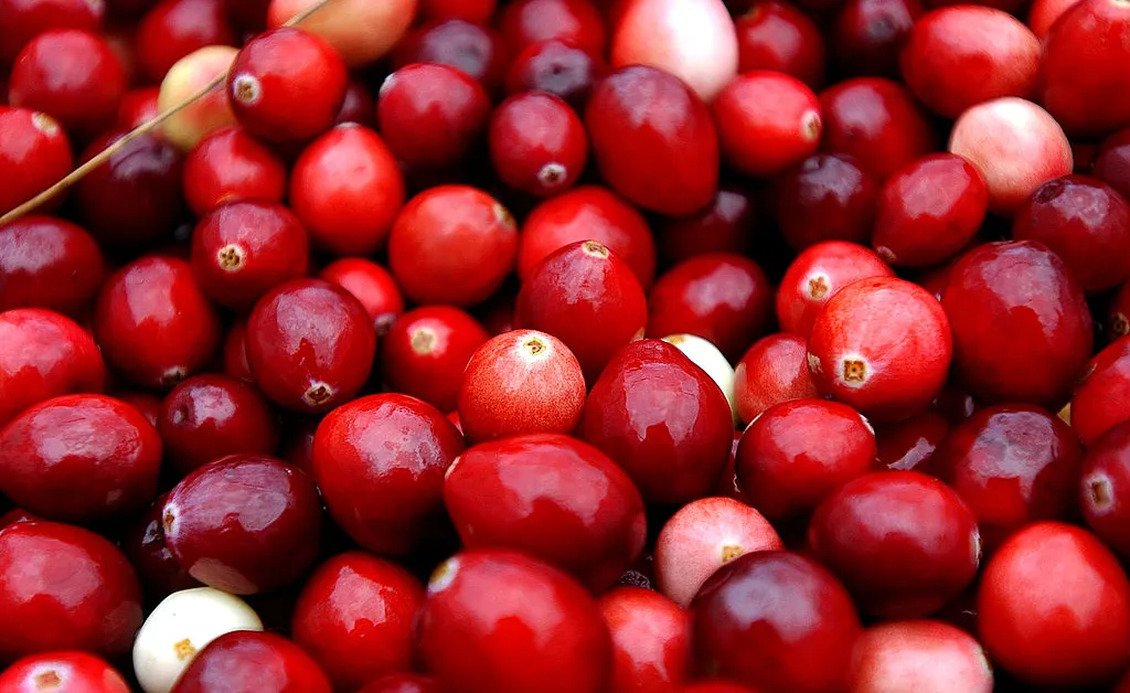 What Climate Change Means For Your Thanksgiving Dinner