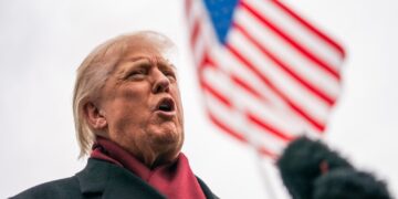 Trump designates chapters of Muslim Brotherhood ‘foreign terrorist organizations’