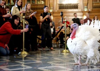 The Unusual History of the Annual White House Turkey Pardon