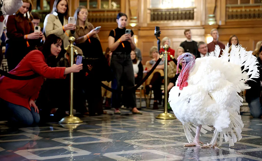 The Unusual History of the Annual White House Turkey Pardon
