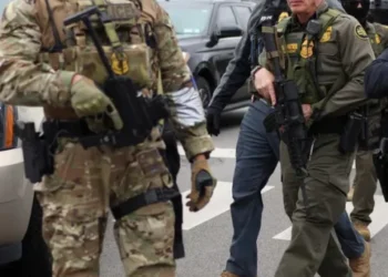 ‘Petulant old man!’ Chicago courtroom fell into chaos as MAGA officials picked a fight