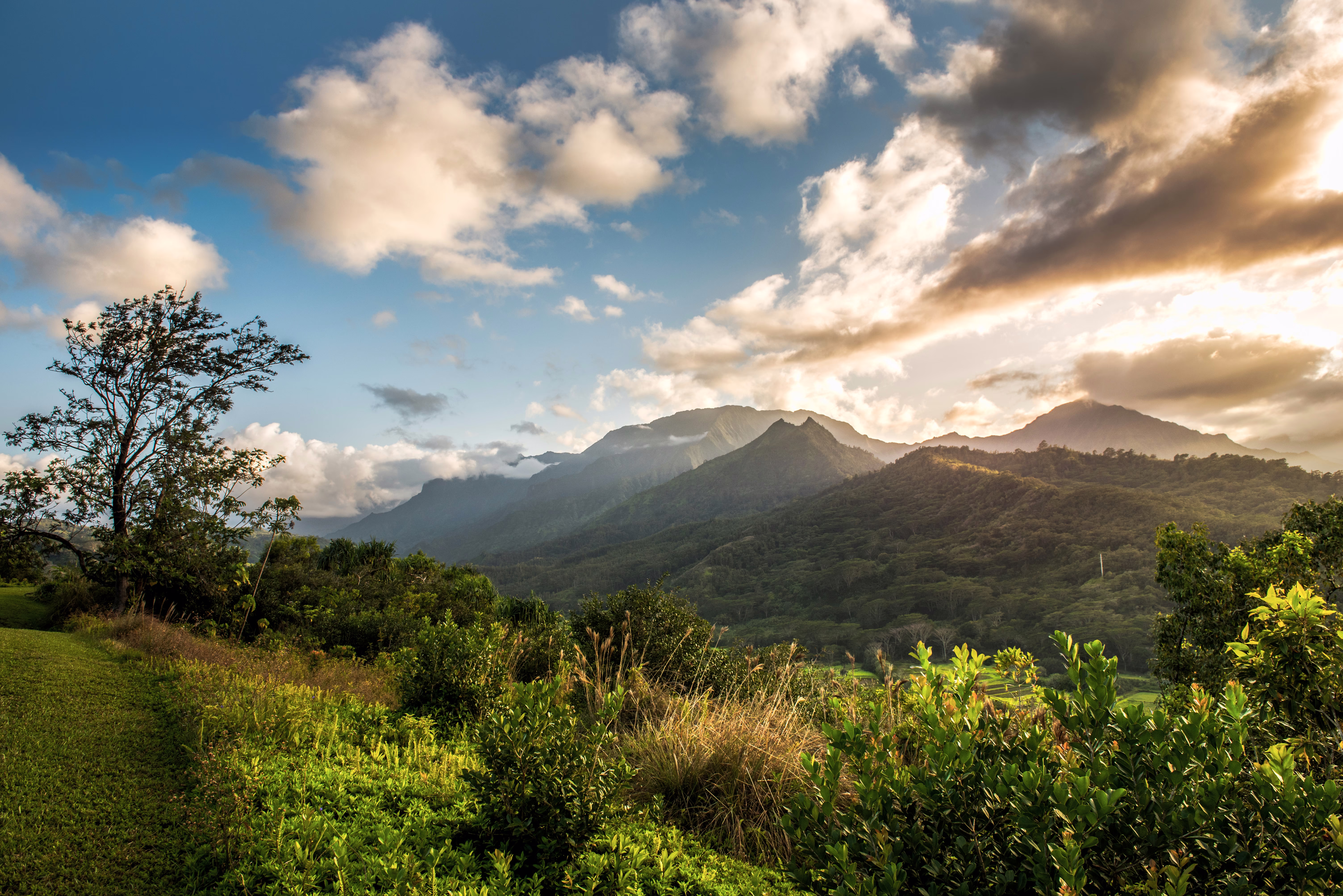 A view of green, forested mountains in Hawaii