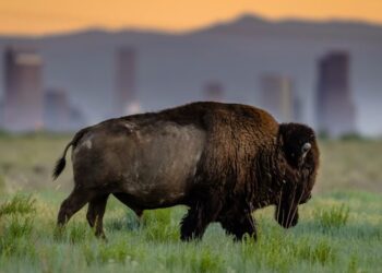 A Photo Appreciation of America’s National Wildlife Refuges