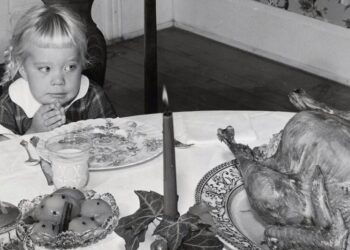 A Cascade of Lies About Turkey