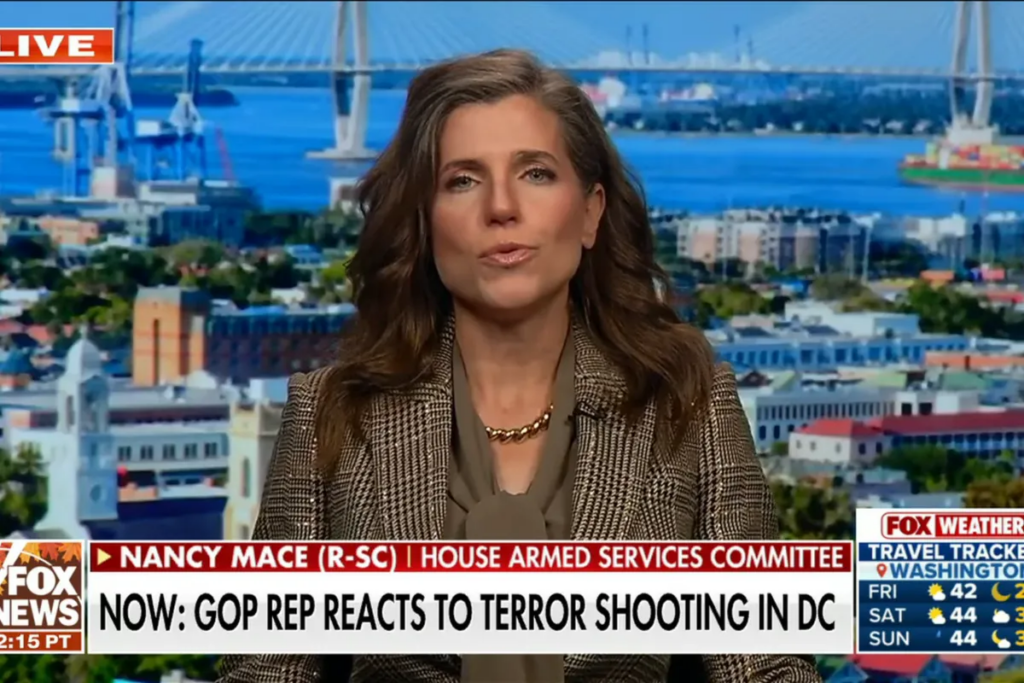 ‘Put this terrorist down!’ Nancy Mace demands DC shooter’s execution