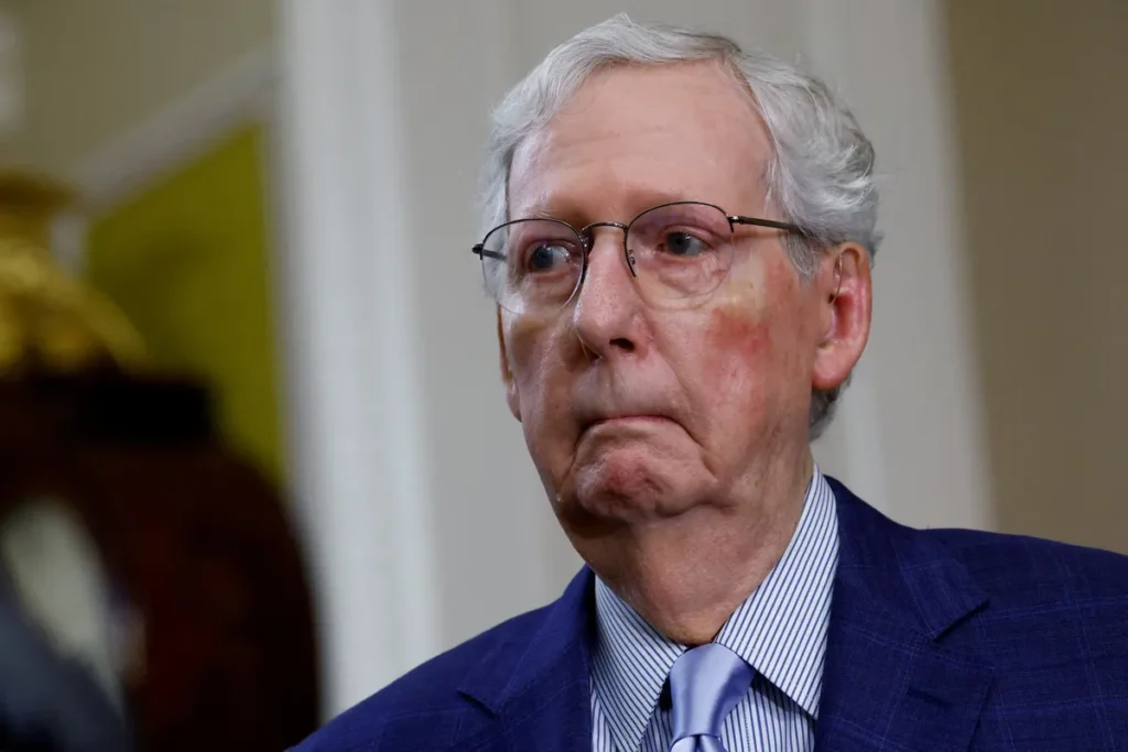 ‘I interrupted him’: GOP official slams fellow Republican amid fight over McConnell legacy