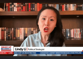 ‘I’m jumping out of my seat!’ GOP strategist loses it in DC shooter debate with reporter