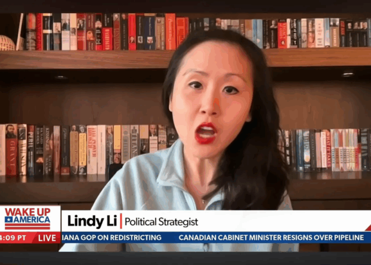 ‘I’m jumping out of my seat!’ GOP strategist loses it in DC shooter debate with reporter