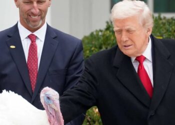 How Thanksgiving helps America deal with this current chaos