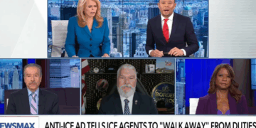 ‘This is dangerous!’ Right-wing Newsmax panel melts down over ‘disgusting’ ads against ICE