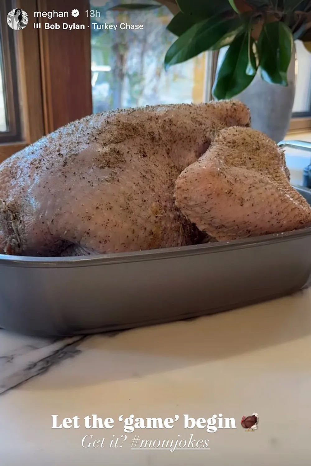 Raw seasoned turkey in a roasting pan.