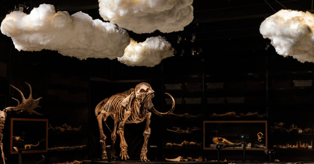 A Day at the Beach Hunting Mammoths