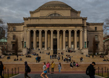 New International Student Enrollments Plummeted This Fall, Survey Finds