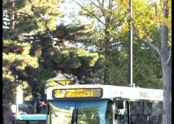 Should Buses Be Free?