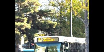 Should Buses Be Free?