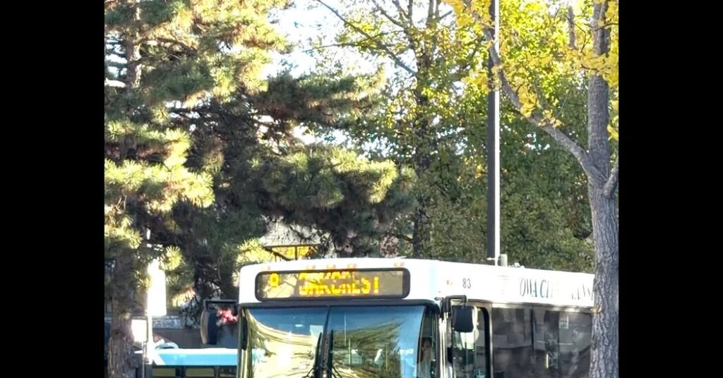 Should Buses Be Free?