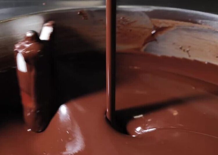 Chocolate Grows Up in the Land of Its Birth: the Amazon