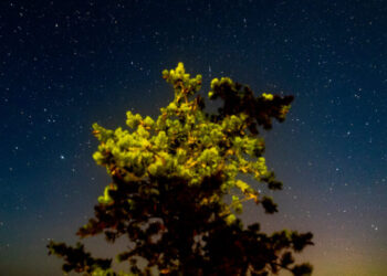 In Michigan’s Upper Peninsula, Locals Fight for ‘The Right to Night’