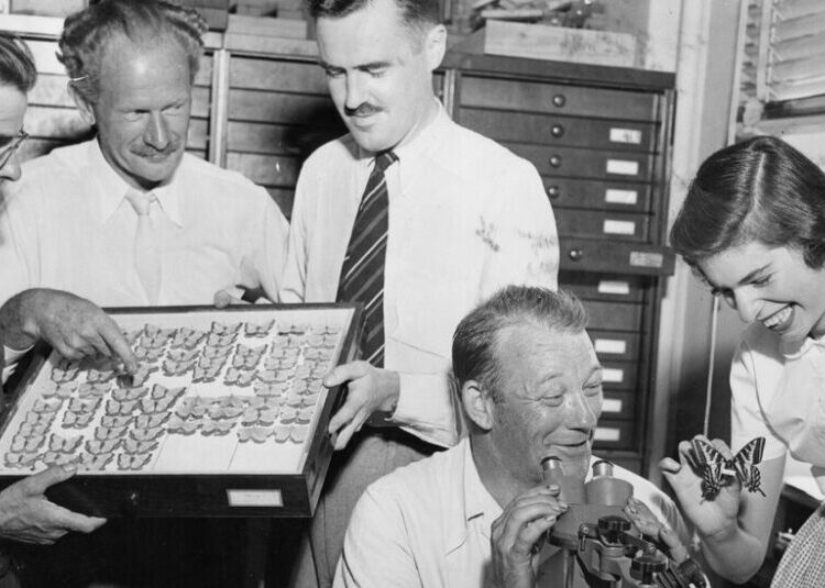 Night — and a Gentleman Burglar — at the Museum