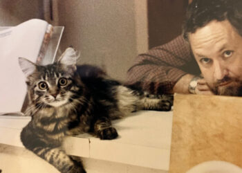 Stephen Anderson, Linguist Who Refuted Doctor Dolittle, Dies at 82