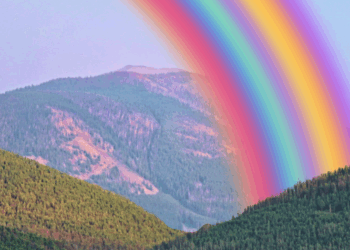 A.I. Is a Bubble. Maybe That’s OK.