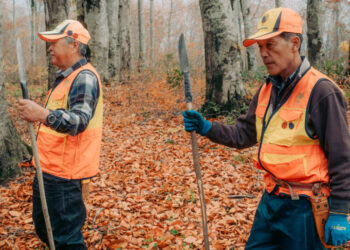 The Hunt Is On for Bears in Japan After Deadly Attacks