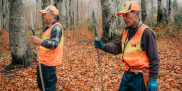 The Hunt Is On for Bears in Japan After Deadly Attacks