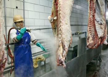 Tyson Foods to Shut Major Beef Facility in Nebraska