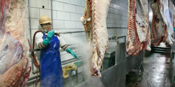 Tyson Foods to Shut Major Beef Facility in Nebraska