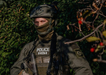 Drug Arrests and Gun Seizures Fell as Homeland Security Pursued Immigration