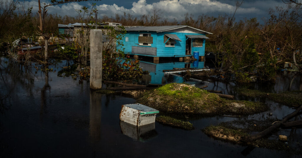 Jamaica Announces Deadly Bacterial Outbreak After Hurricane Melissa