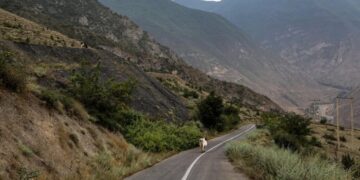 Fire Threatens Iran’s Ancient Forest, a World Heritage Site