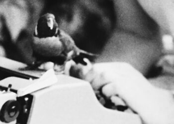 A Typewriter That Has Traveled the World