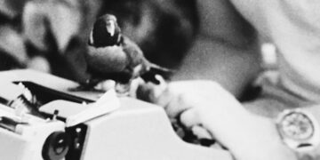 A Typewriter That Has Traveled the World