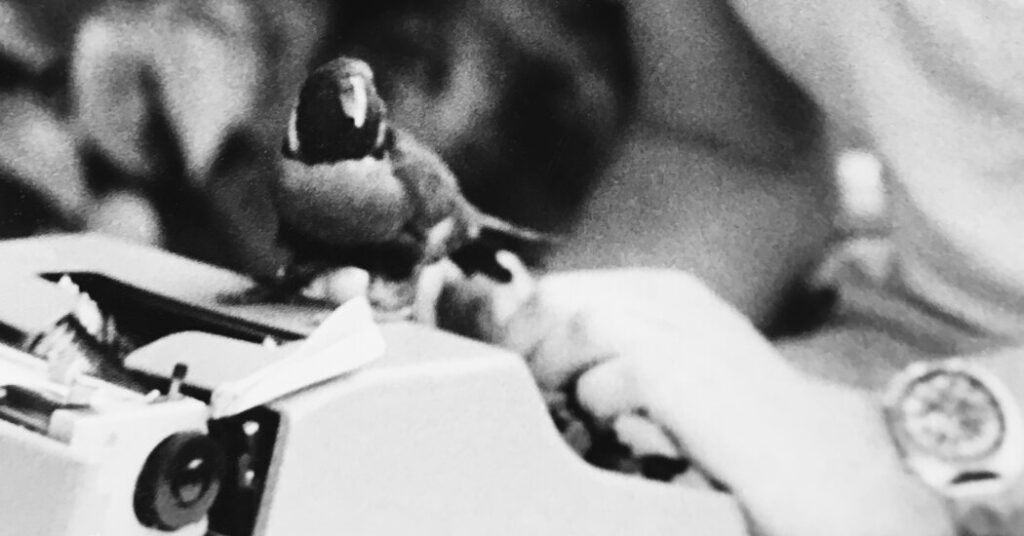 A Typewriter That Has Traveled the World