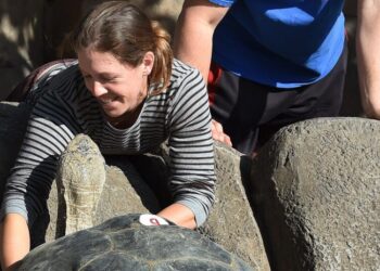 Gramma, a Galápagos Tortoise at the San Diego Zoo, Dies at About 141