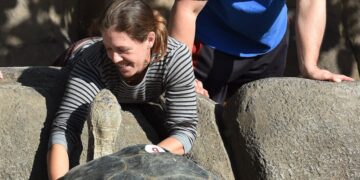 Gramma, a Galápagos Tortoise at the San Diego Zoo, Dies at About 141
