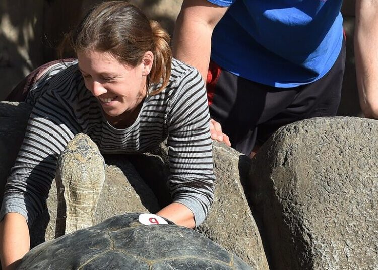 Gramma, a Galápagos Tortoise at the San Diego Zoo, Dies at About 141