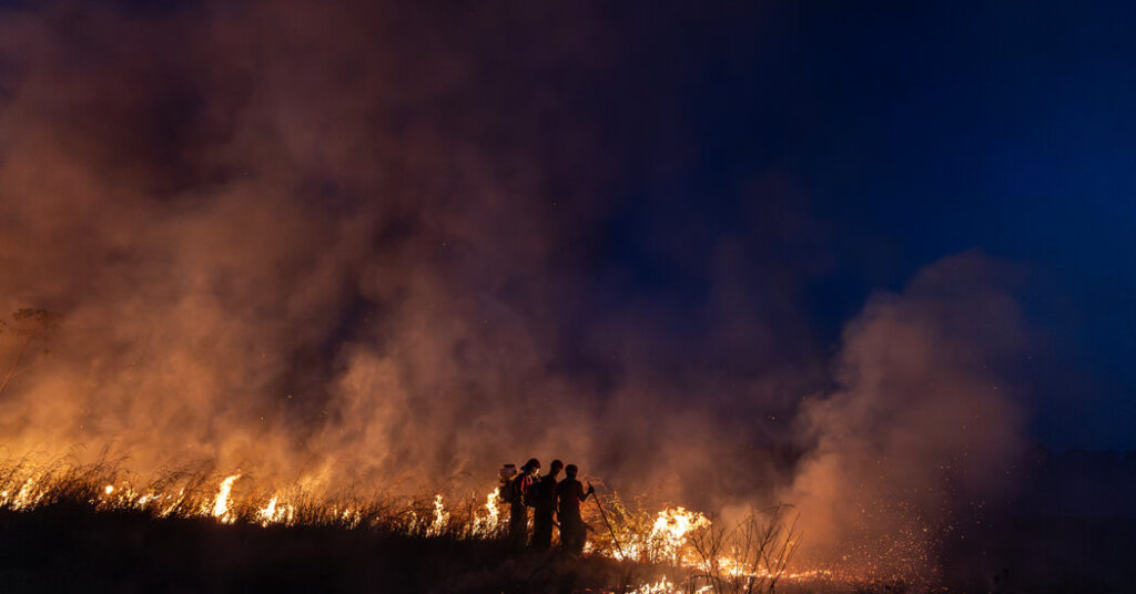 Tentative Signs of Hope as the Amazon Burns