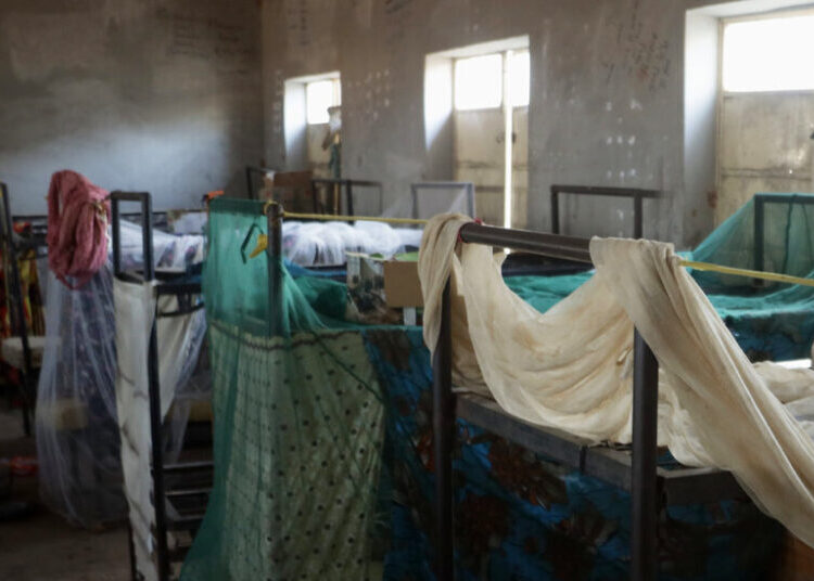 Violence Is Driving Catastrophic Hunger in Nigeria, U.N. Report Says