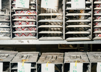 Transportation Chief Wants Healthier In-Flight Snack Options