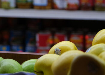 New York Sues Over Rule Barring Thousands of Immigrants From SNAP