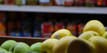 New York Sues Over Rule Barring Thousands of Immigrants From SNAP