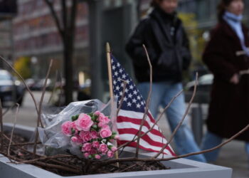 U.S. Reviews Biden Asylum Cases After Shooting