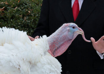 This Year, the Billionaires Give Thanks for Trump