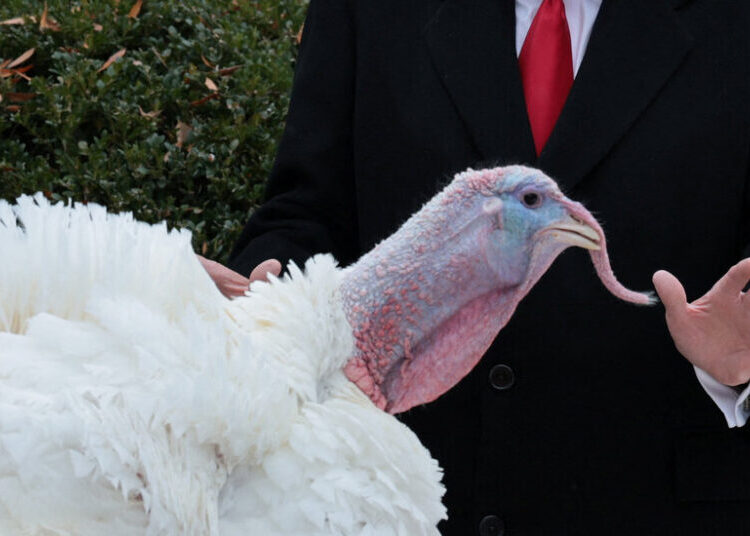 This Year, the Billionaires Give Thanks for Trump